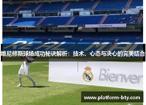维尼修斯球场成功秘诀解析：技术、心态与决心的完美结合