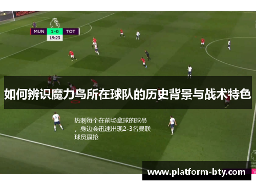 如何辨识魔力鸟所在球队的历史背景与战术特色