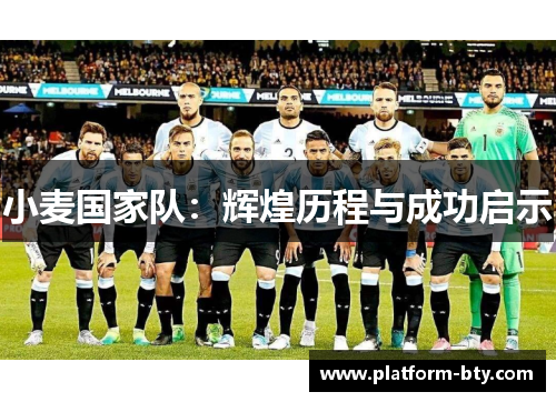 小麦国家队：辉煌历程与成功启示